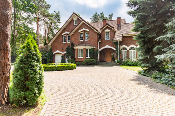 Best Driveway Paving Contractor  in Lone Star, TX
