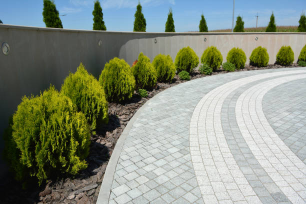 Best Best Driveway Pavers  in Lone Star, TX
